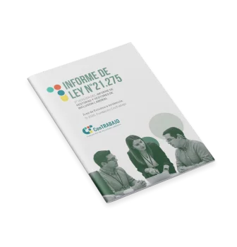 Informe de Ley N°21.275 – año 2025